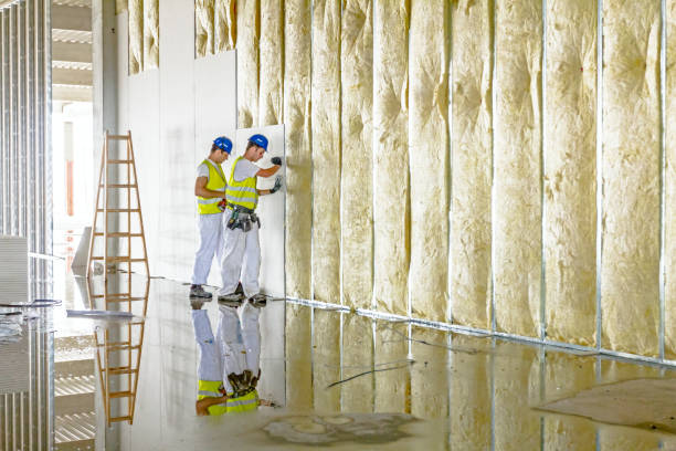 Best Insulation Materials and Products in USA